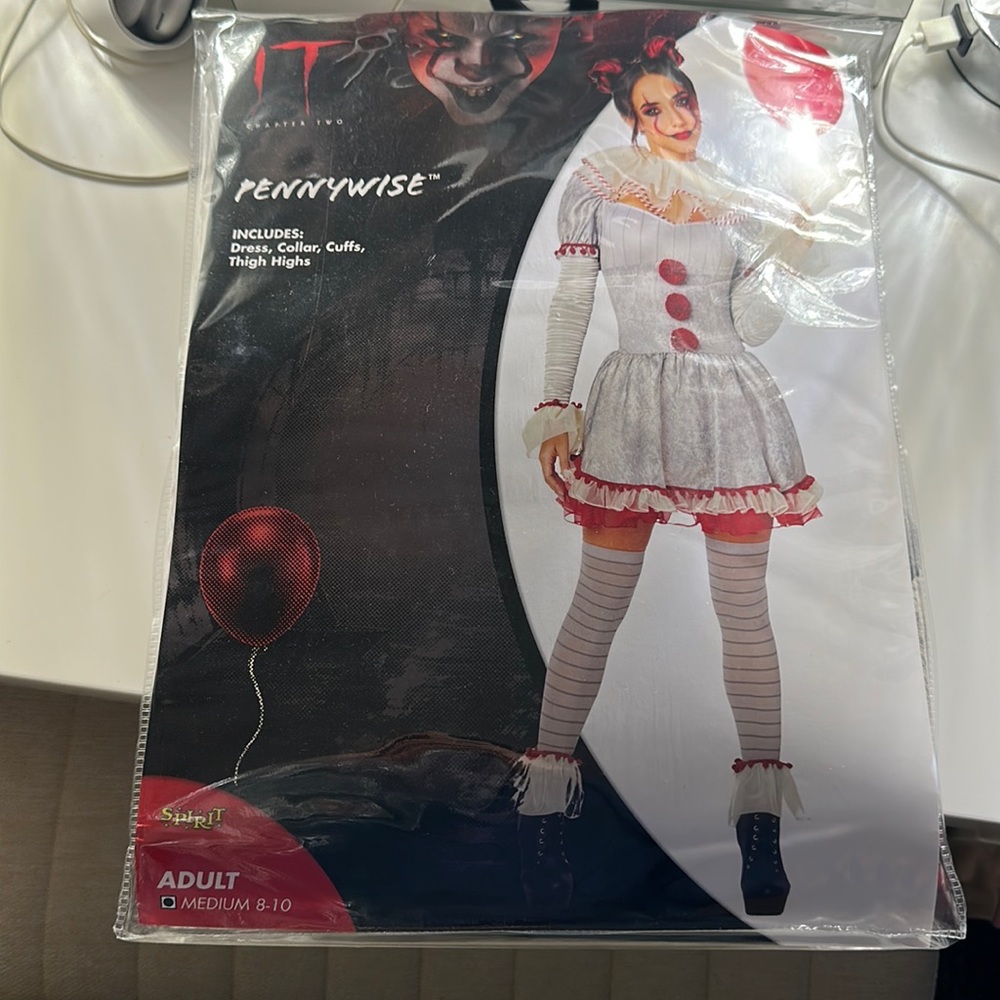 Penny wise adult women’s costume in a Medium (8-10)